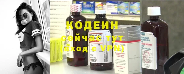 дживик Абаза
