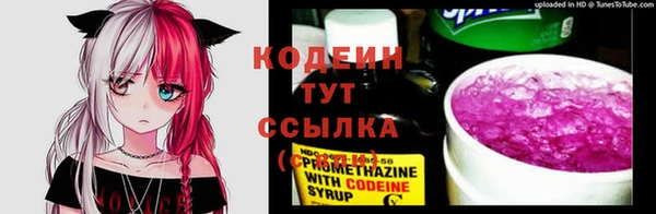 дживик Абаза